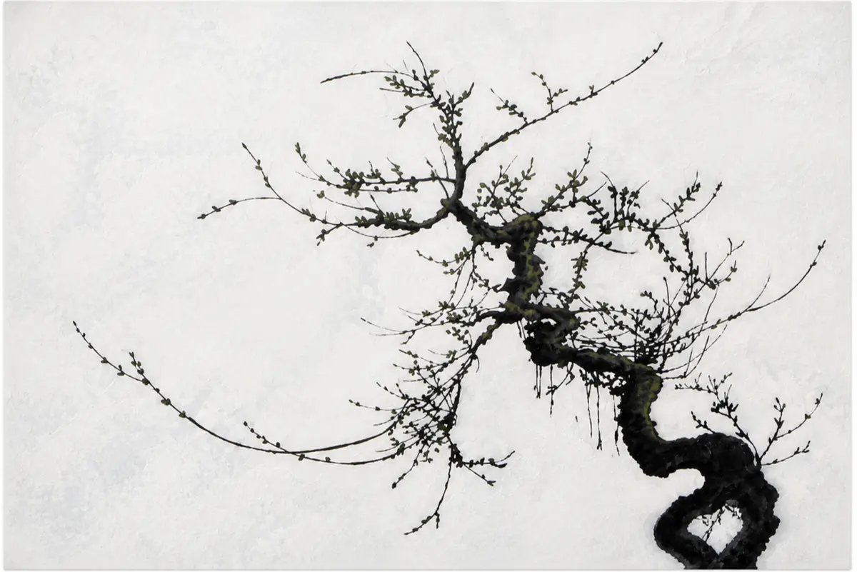 Work by Noemi Kozikowska, installed view 31